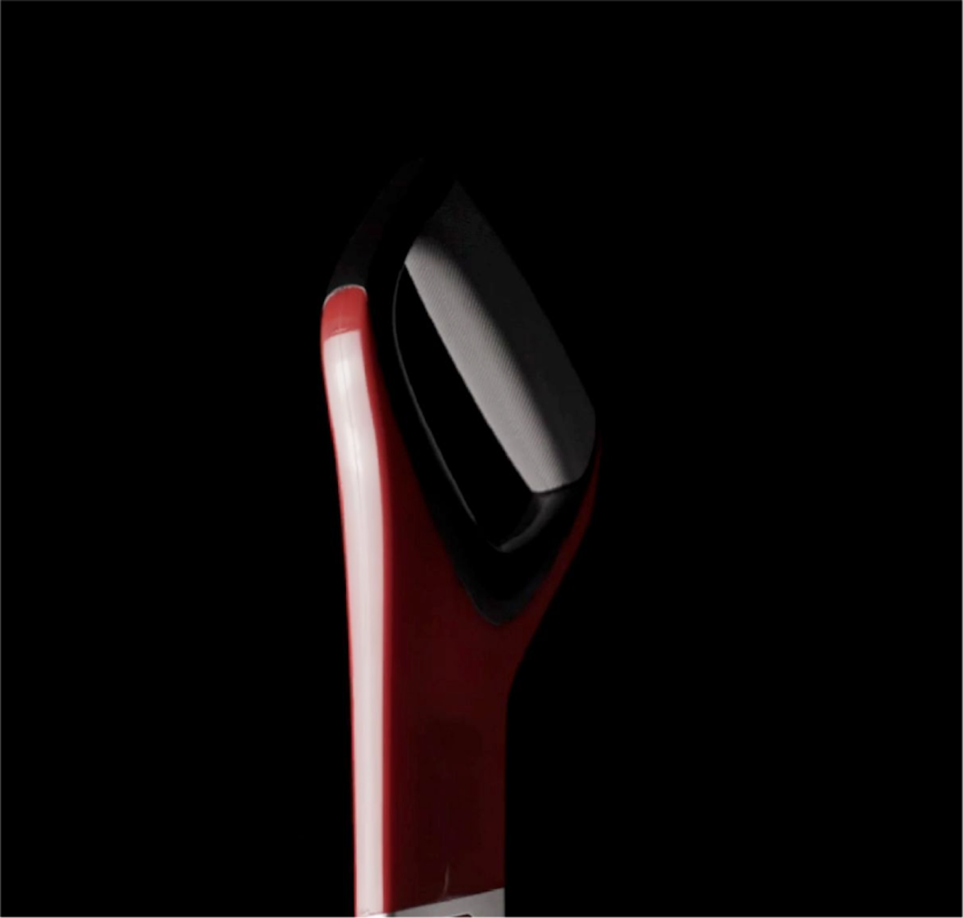 Bissell Image Grid 4