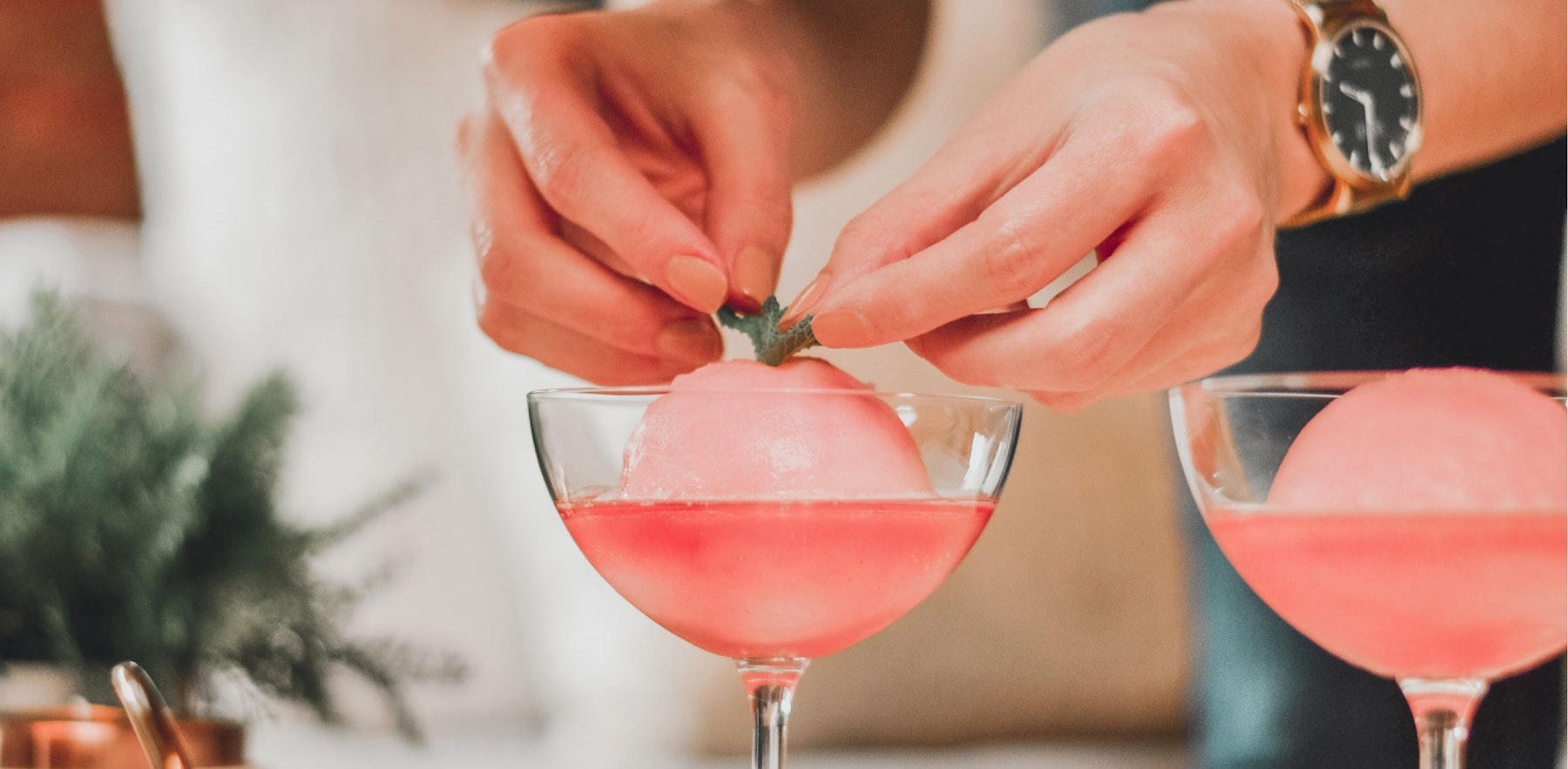 Lindys Fullwidth Photo