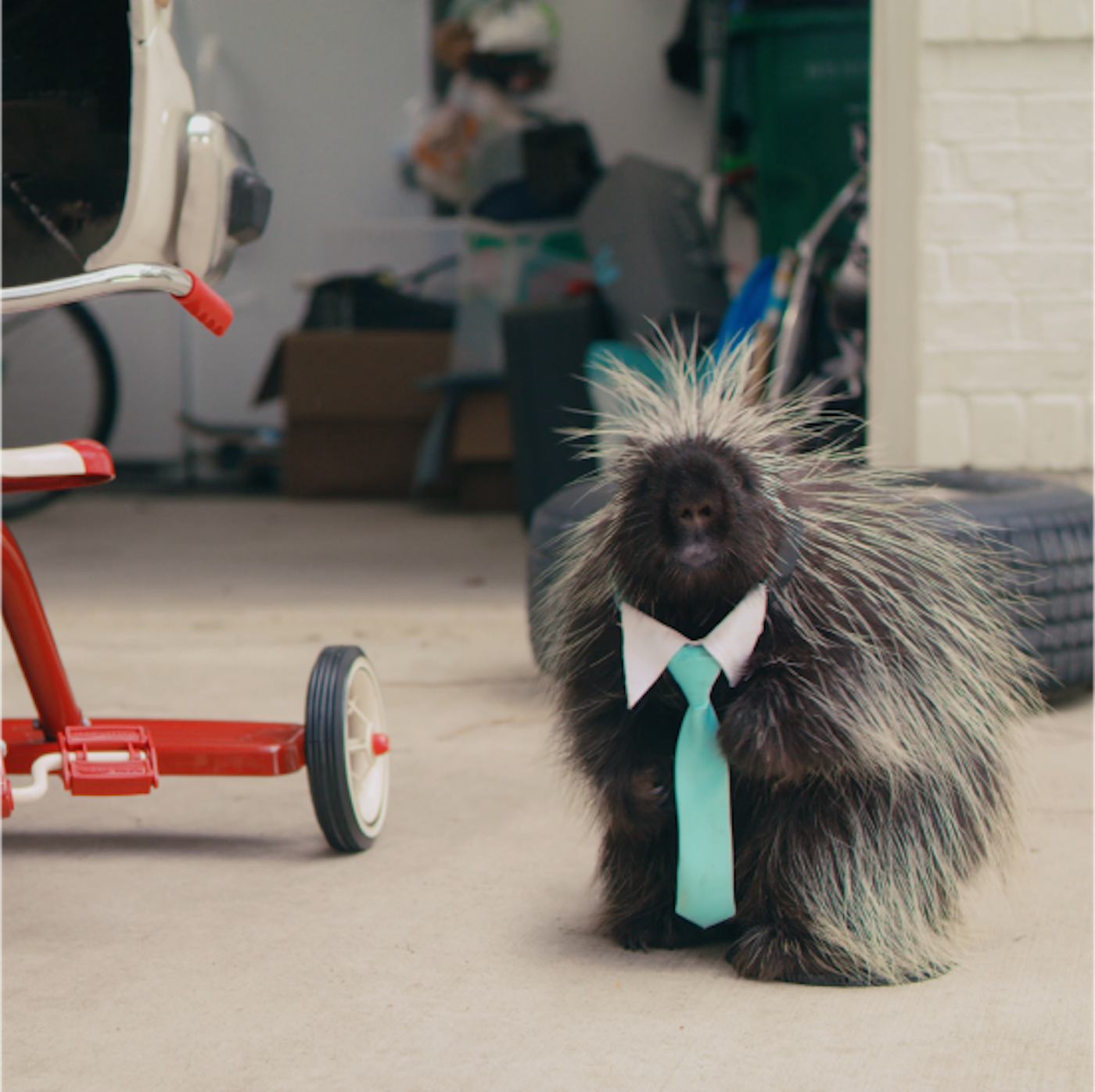 Quility Image Grid 1