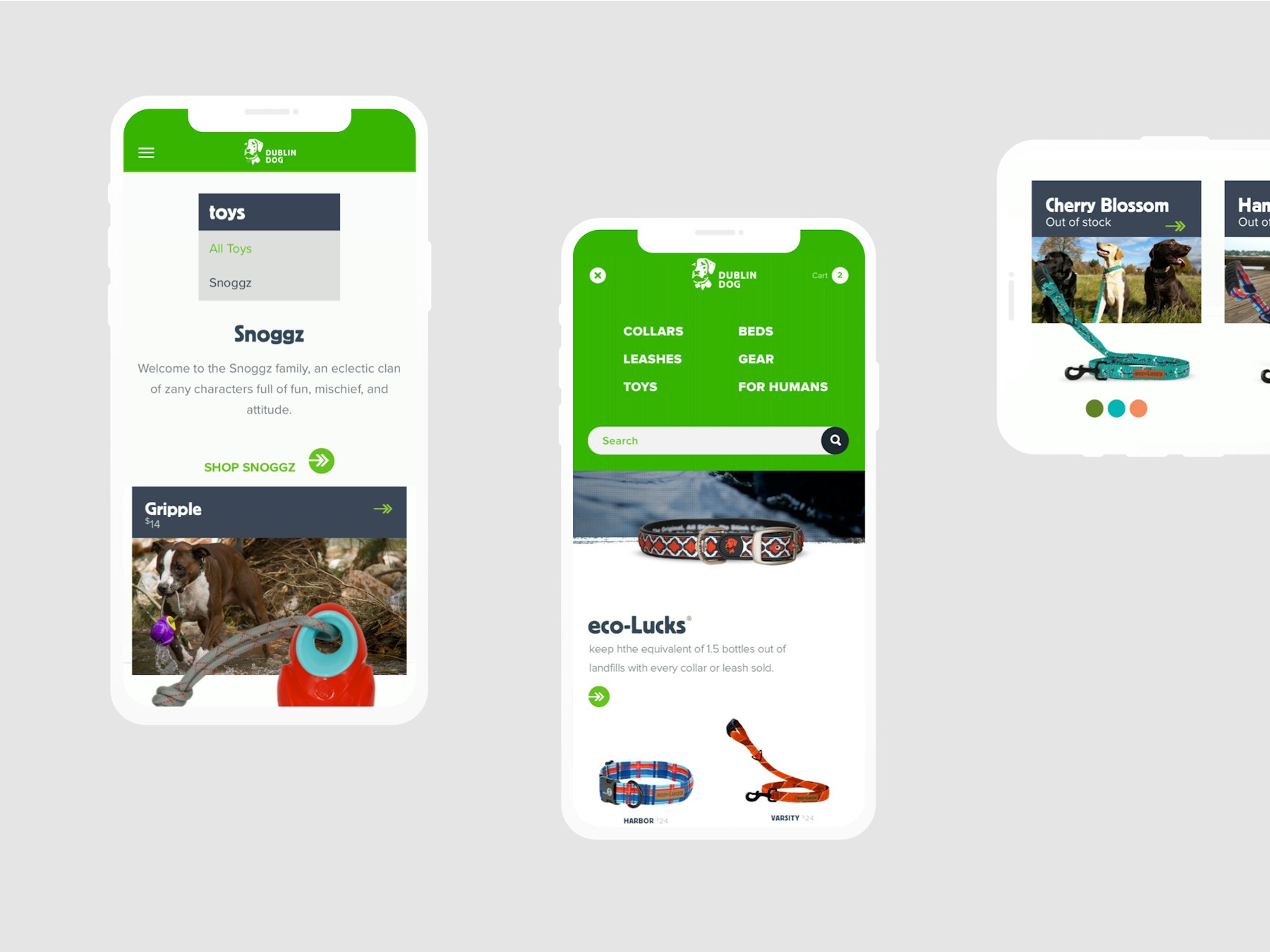 Dublin Dog Digital Experience Case Study Union