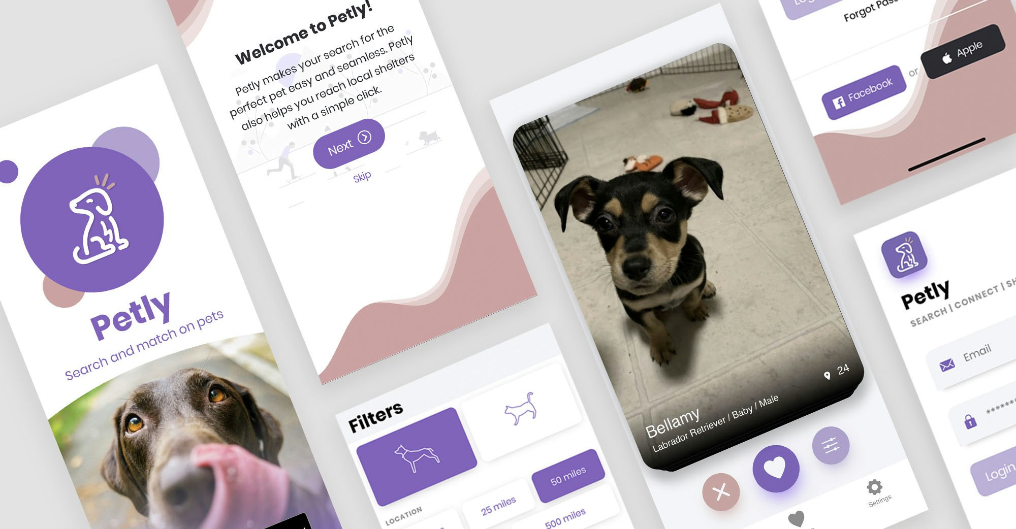 Building a Swipeable Pet Adoption App | Union