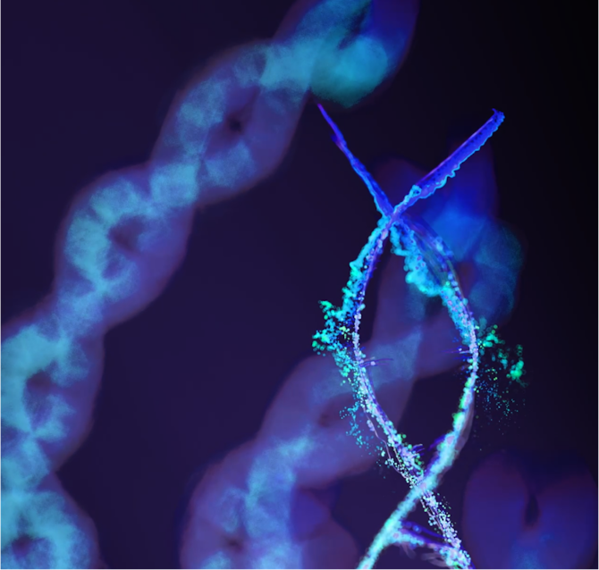 Randolph Community College